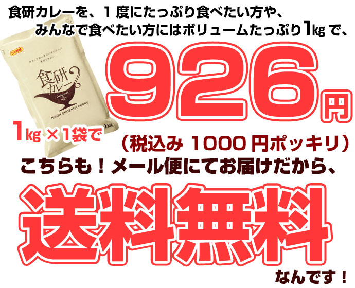 食研カレー 1kg×1袋、1000円ポッキリ！送料無料！コチラの商品はメール便でお届けいたします。メール便のため同梱、代金引換、お届け日時の指定は出来ません。  送料無料 北海道のお取り寄せ・通販 共栄水産