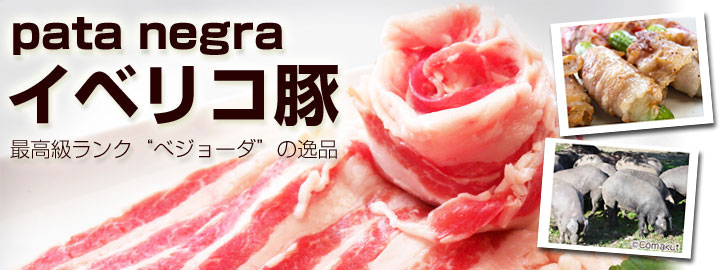 ���٥ꥳ��(�٥��硼��)�Х��� �ǹ����